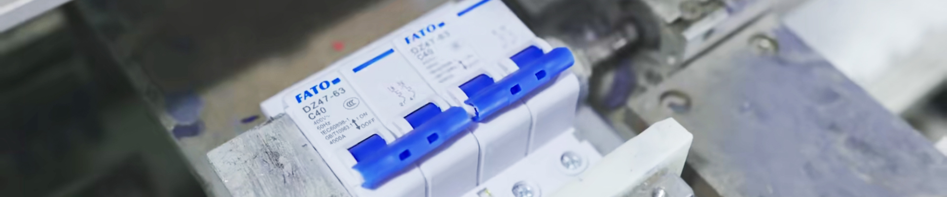 Các sản phẩm